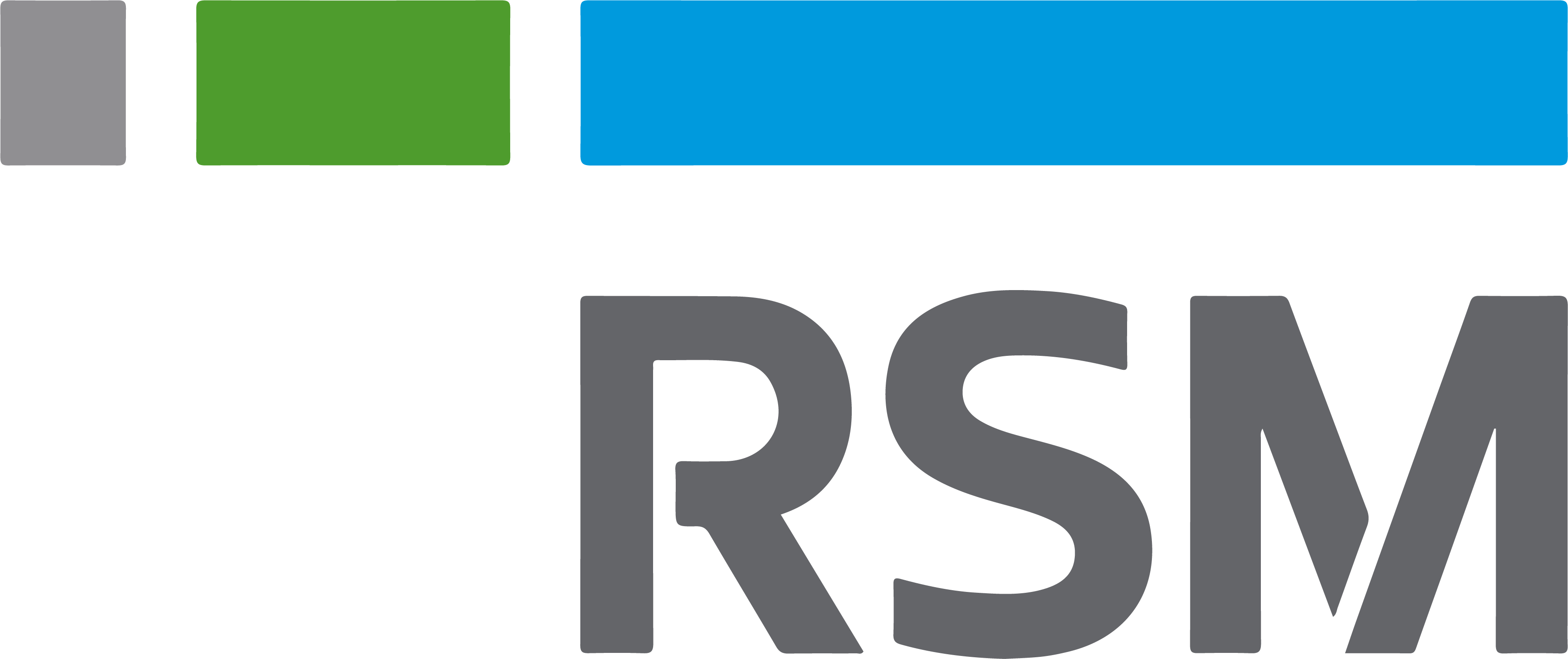 RSM International logotype